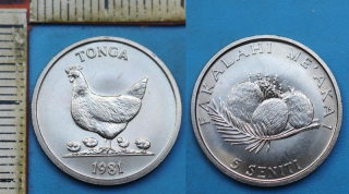 1981 - 5 seniti - Tonga