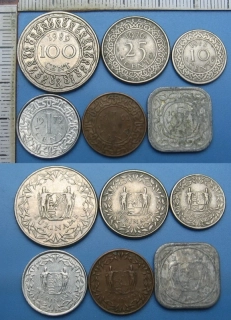 mince Surinamu - 6x různý typ
