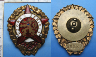 Vzorný ženista - odznak, nižší číslo č. 05387